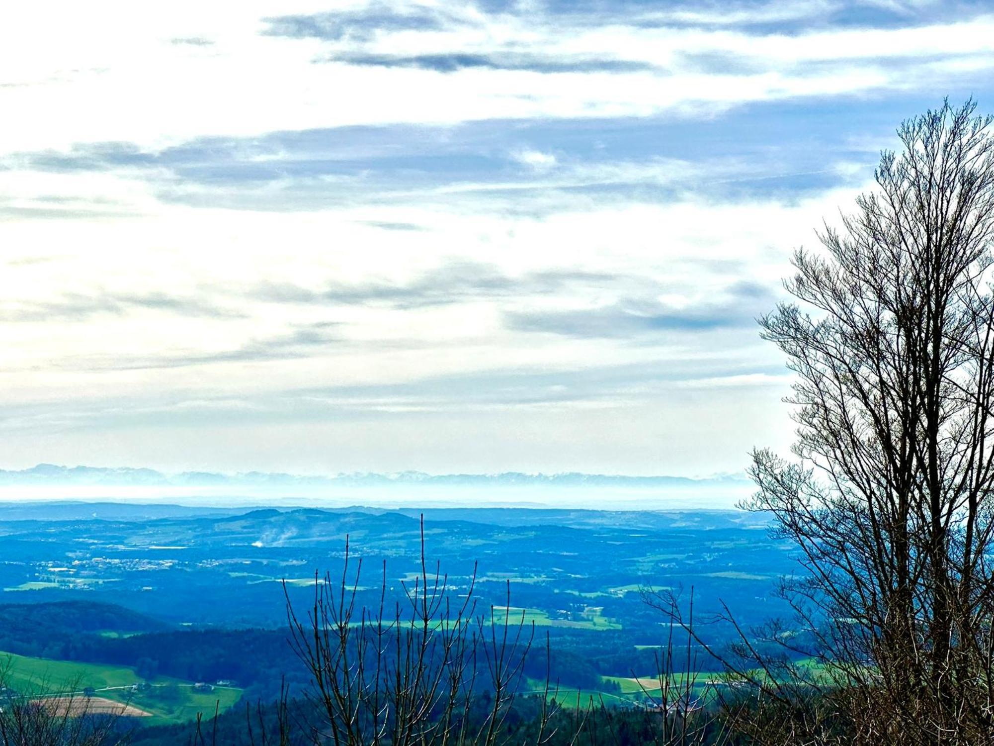 Gemuetliches Alpenblick Berg-Bungalow + Grosser Garten + Netflix! Schöfweg Eksteriør billede